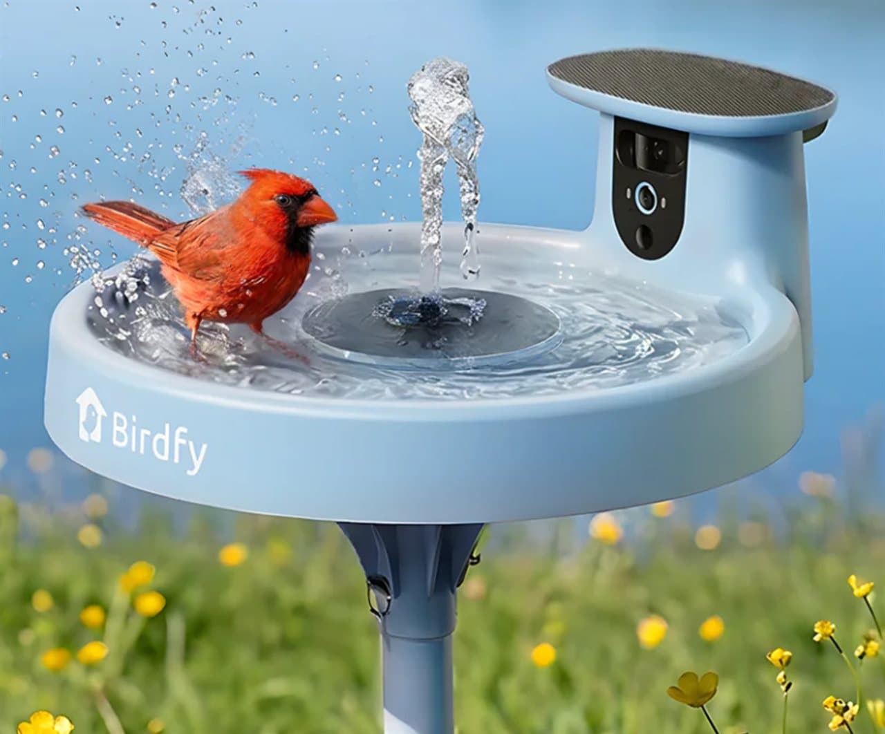 Birds thought it was a birdbath. It has two cameras, motion alerts, and a live feed to your phone.
